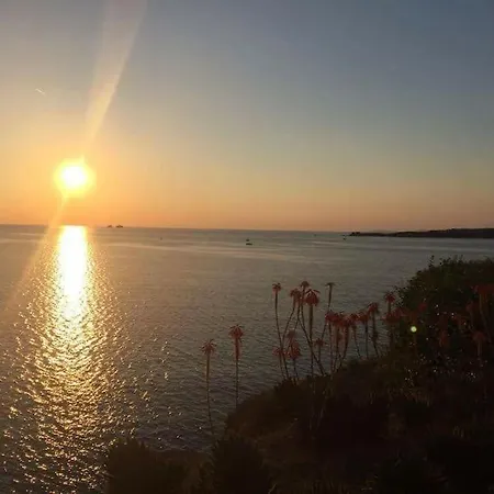 Evilou's House 게스트하우스 3*