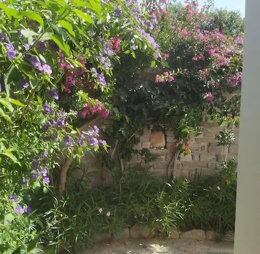 Pensión Evilou's House